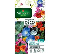 Vilmorin Pack de graines 5860642 pour fleurs grimpantes