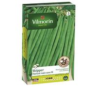 Vilmorin Graines Haricot Skipper