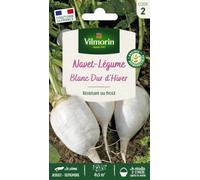 Vilmorin Graines Navet Dur d'Hiver Blanc