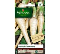 Vilmorin Pack de graines Panais de Guernesey