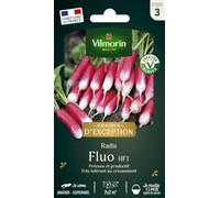 Vilmorin Graines Radis Fluo HF1 | précoce, croquant, savoureux, non piquant, demi-long, semis février-avril