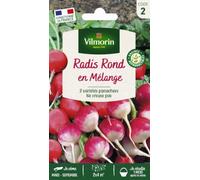 Vilmorin Graines Radis Rond en Mélange | mélange bicolore, radis ronds écarlatess, semis en surface, récolte rapide 4-5 semaines