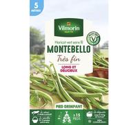 VILMORIN-Grains de haricot nain Montebello Vilmorin - graines à semer
