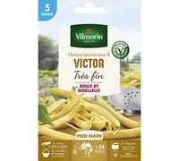 VILMORIN-Graines de haricot nain Victor Vilmorin 5 mètres - graines à semer