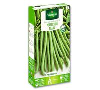 Vilmorin Haricot Blanc Juillet