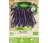 Vilmorin Haricot Blauhilde Bio 10 m