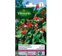 VILMORIN Haricot d’Espagne varié