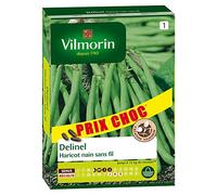 Graine - Vilmorin - Haricot Nain Vert Delinel