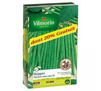 Vilmorin - Haricot Nain A Filet Sans Fil Skipper (Création Vilmorin)
