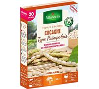 Vilmorin Haricot Nain Cocagne Type Paimpolais, 20 m, Vert