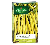 Vilmorin - Haricot nain mangetout DE ROCQUENCOURT