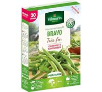 Haricot Nain Vert Bravo - 20 m