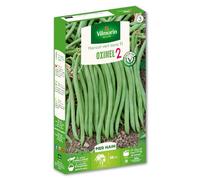 Vilmorin-1150054-HARICOT OXINEL 2 VL 3