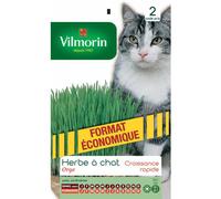VILMORIN-Herbe à chat