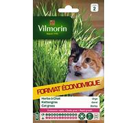 Vilmorin – Herbe à chat – Usage et entretien faciles, bonne pour la digestion – Sachet 30 g