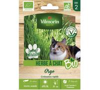 Vilmorin - Herbe A Chat Bio Gm Vl 2 Amistar