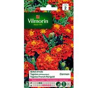 Vilmorin Œillet d'Inde Carmen Rouge