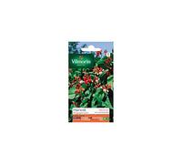Vilmorin Jardin Haricot Espagne Varie Serie 1