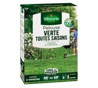VILMORIN-Kit pour pelouse verte toute l'année pour 40 à 60 m² - 1 kg