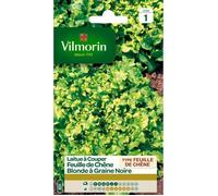 VILMORIN Laitue à couper feuille de Chêne blonde graines noires