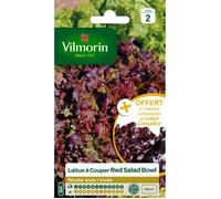 VILMORIN Laitue à couper Red Salad Bowl + échantillon laitue à couper Grenadine