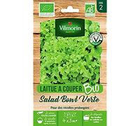 Vilmorin Laitue à Couper Salad Bowl Verte Bio Récolte 4 Saisons | Feuillage vert blond frisé, 3 récoltes successives, semis toute l'année, repousse après coupe