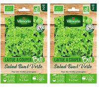 VILMORIN - Laitue à Couper Salad Bowl Verte BIO - Récolte 4 Saisons - Variété Très Productive : Jusqu'à 3 Récoltes - Feuillage Vert-Blond - Vigoureuse - Résistante à la Chaleur - Sachet de 4 g