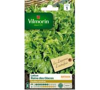 Vilmorin - Sachet graines Laitue Batavia Reine des glaces