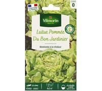VILMORIN Laitue Pommee du bon jardinier