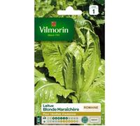 Laitue Romaine Blonde Maraîchère