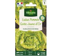 Vilmorin - Sachet graines Laitue Gotte jaune d'or