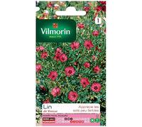 Vilmorin - Lin de venise rouge