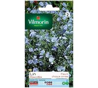 Vilmorin - Lin vivace bleu