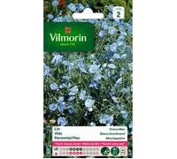 VILMORIN Lin vivace bleu