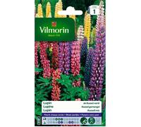 Vilmorin Graines de Lupin de Russel varié Multicolore en sachet