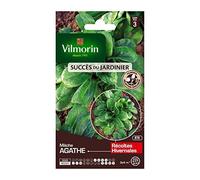 VILMORIN Mâche Agathe
