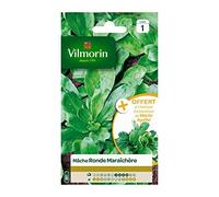Vilmorin - Mâche ronde maraichere