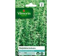 Vilmorin - Sachet graines Marjolaine ordinaire