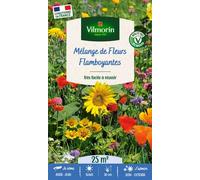 VILMORIN-Mélange de fleurs 25 m² camaïeu flamboyant coloris multicolore Vilmorin jardin - 10 x 2,7 x 17,2 cm