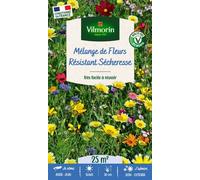 VILMORIN-Mélange de fleurs 25 m² terrain sec coloris multicolore Vilmorin jardin - 10 x 2,7 x 17,2 cm