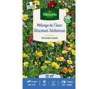 VILMORIN-Mélange de fleurs 50 m² pour terrain sec coloris multicolore Vilmorin jardin - 11,5 x 4,35 x 19 cm