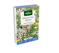 Vilmorin Mélange de Fleurs Tapissant 25 m²