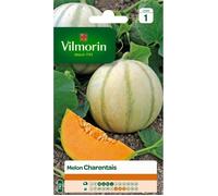 VILMORIN Melon Charentais