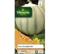 Vilmorin Melon Lisse Sunlight F1