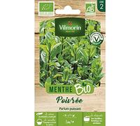 Vilmorin Menthe Poivree bio