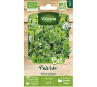 Vilmorin Menthe Poivree bio