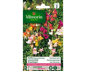 Vilmorin Muflier Fleur Multicolore | Semence, Fleur, Mélange, Muflier, Floraison longue et abondante