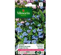 Vilmorin 5380741 Myosotis, Bleu, 90 x 2 x 160 cm