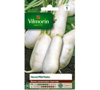 VILMORIN Navet Marteau