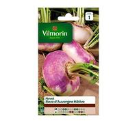 Vilmorin - Navet rave d'auvergne hâtif